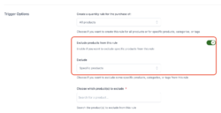 Product inclusion and exclusion options in Dynamic pricing rules