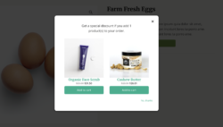 Special Offer promotional modal displayed on the storefront